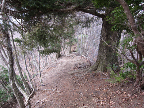 20200204hike (214)